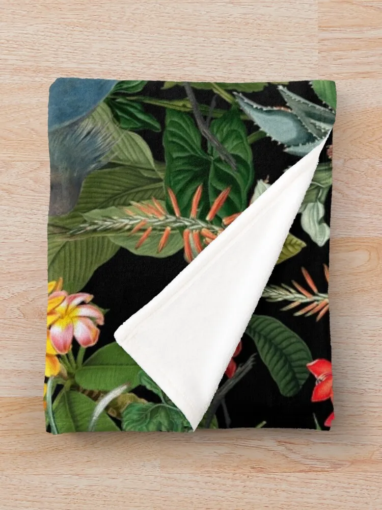 ��Ƽ�� ����-���� ��а� ���� �� ������ ���