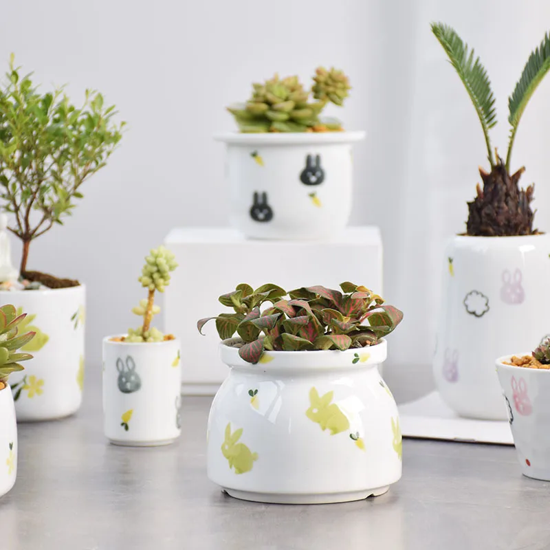 

Hand-painted Rabbit Succulent Pot Ceramic Flower Pot Planter Home Decor Desktop Ornaments Garden Decoration Bonsai Plant Pot