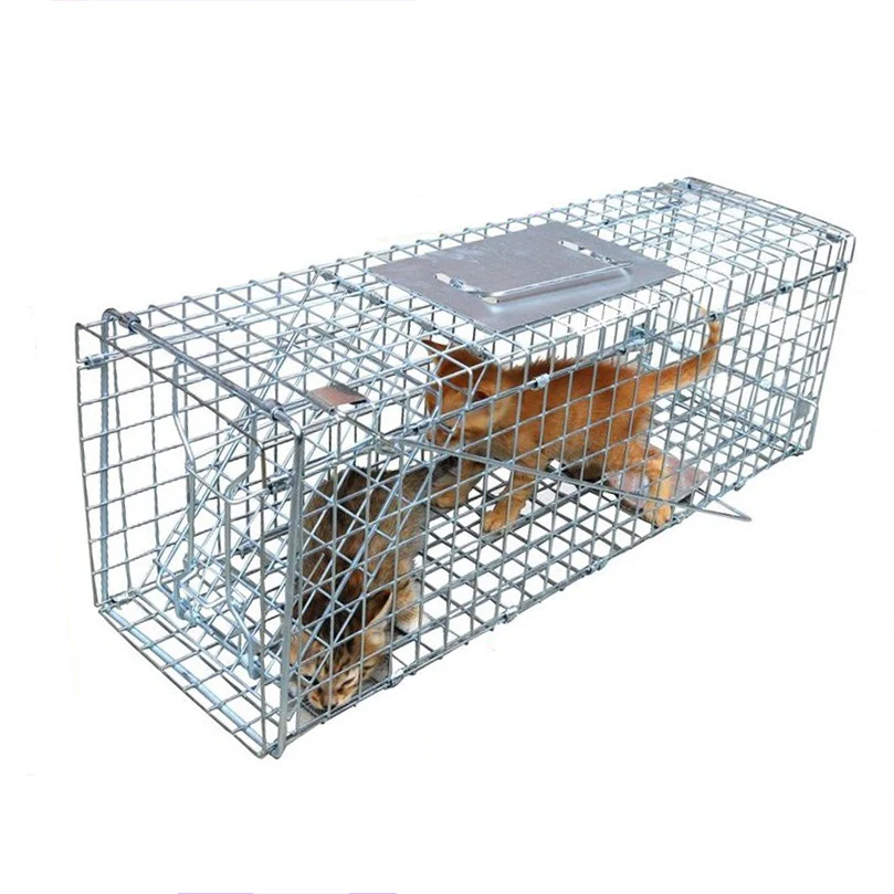 Super Large cattura trappole per cani salvataggio cani randagi gatti esca  Catcher pieghevole riutilizzabile trappola per topi caccia donnola gabbia per  gatti selvatici - AliExpress