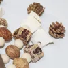 Bird Toys with Pinecones Cuttlefish Bones Beech Wood Nuts Teething Chew Toy For Parrot Parakeets Cockatiels Love Birds Supplies 3