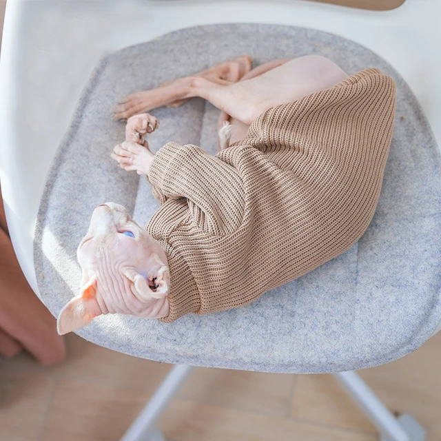 Coffee Cotton Sweater for Cat 2-legged Winter Coat for Sphynx Warm Sweatshirt for Kittens Soft Loungewear for Devon Rex 4