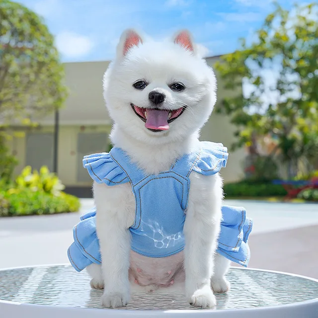 Dog Harness with Leash Breathable Vest Chest Collars Rope Small Dogs Adjustable Outdoor Walking Apparel Pet Dog Accessories 4