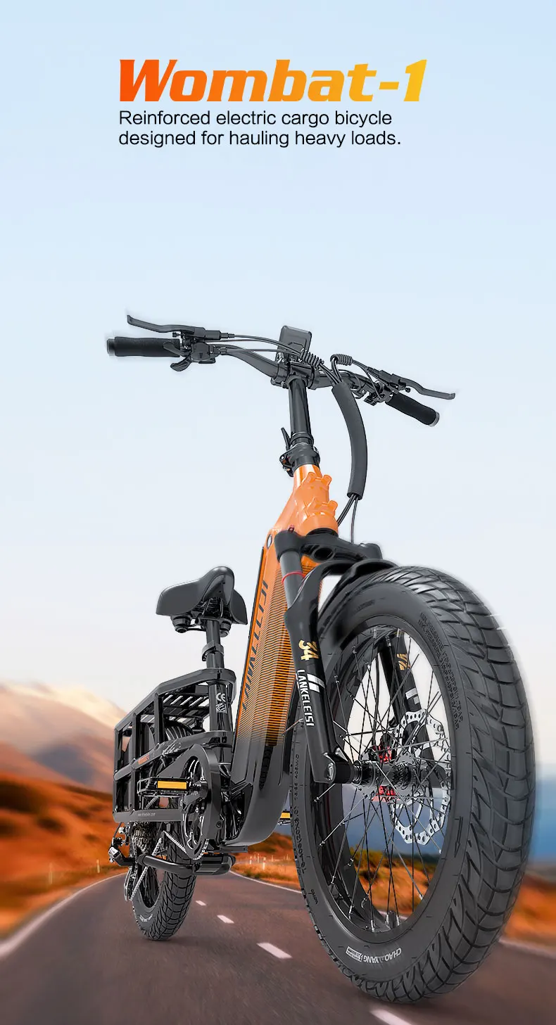 Lankeleisi Wombat-1 Elektrofahrrad 46 km/h Höchstgeschwindigkeit 1000W Motor 48V20AH Akku Offroad E-Bike EU-Lagerbestand – Detail 1