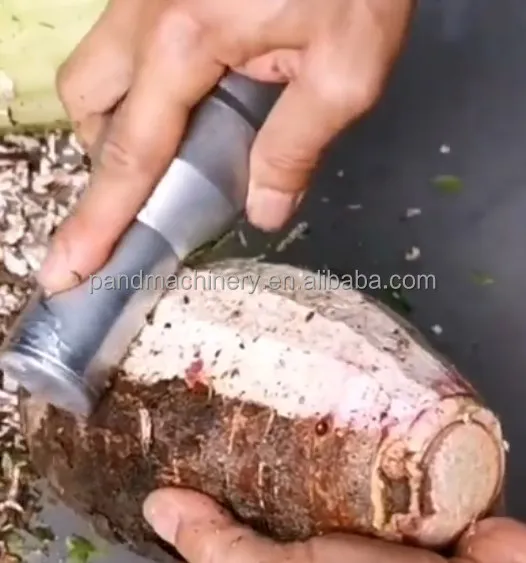 Hot Sale Electric Sugarcane Wax Gourd Squash Peeler Machine /coconut Brown Skin Peeler 4