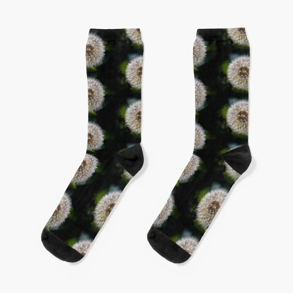 

Dandelion Socks anime essential Girl'S Socks Men's