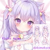 Dakimakura Anime cat's ear Double-sided Print Life-size Body Pillow Cover Bedding Gifts 1