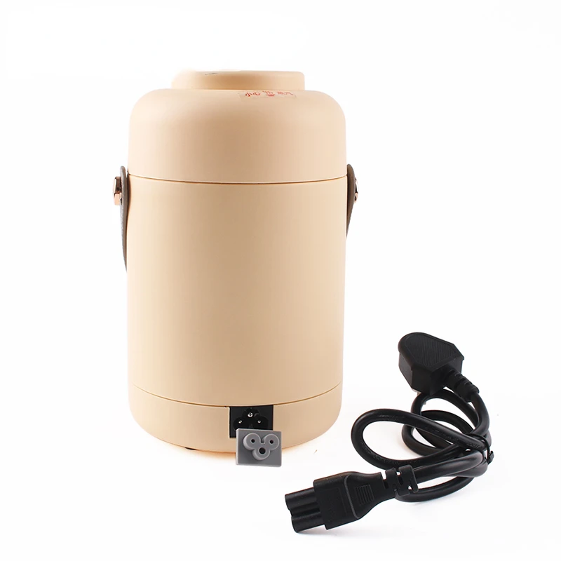 Electric Kettle Rice Cooker Lunch Box Portable Mini Soup Stew Slow Cooking Pot Porridge Food Steamer Noodles Pasta Heater Hotpot electric cooking pot