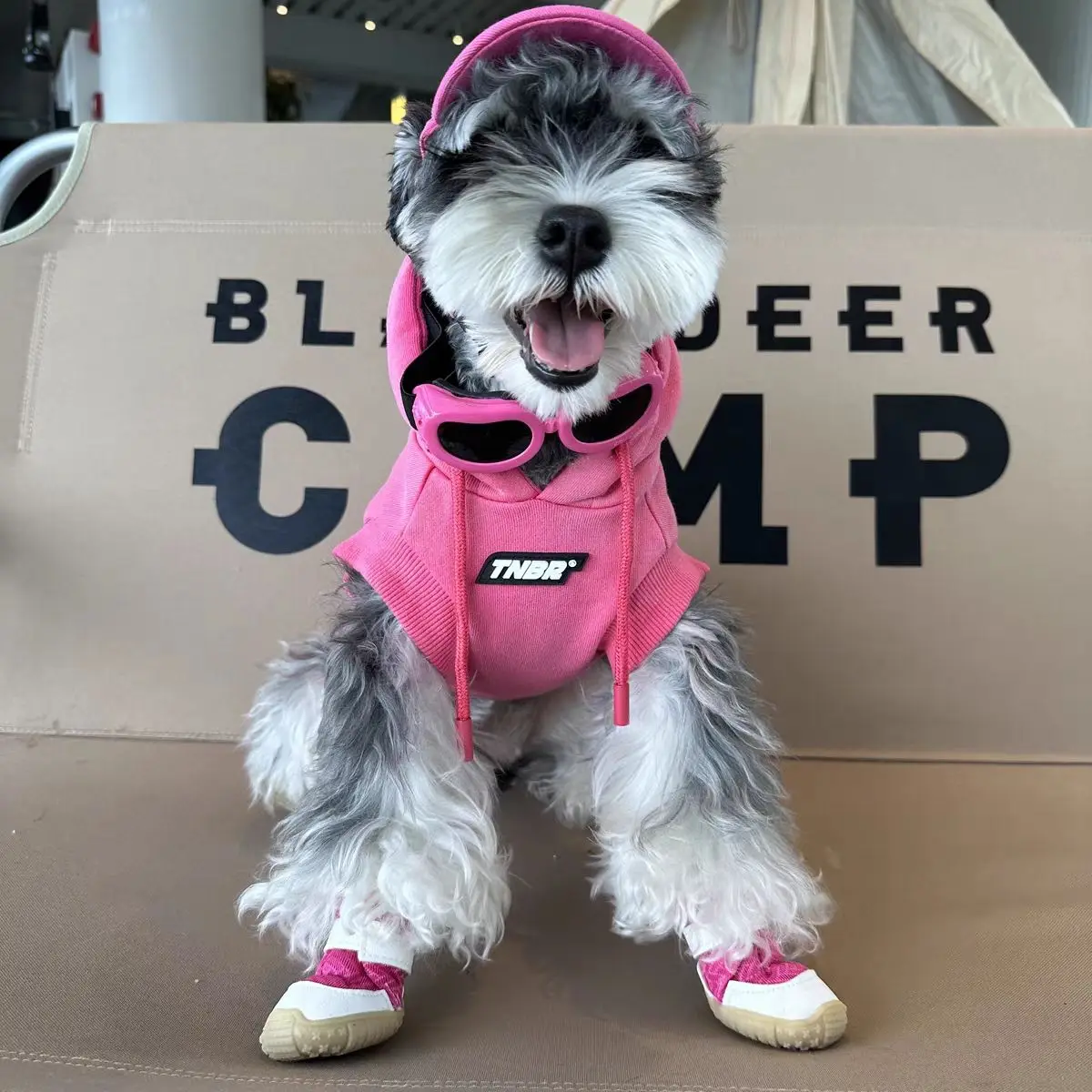 thumbnail image 1 of Ropa para perros primavera otoño Schnauzer osos Teddy perro Shiba estampado letra gradiente sin mangas sudadera con capucha para mascotas 강아지옷 одежда для собак, 1 of 5