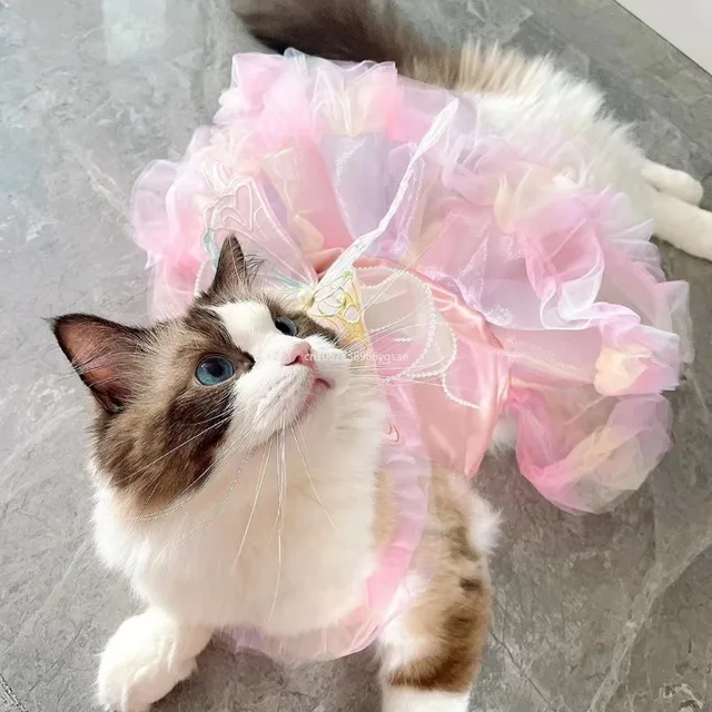 Cat Dog Princess Dress Clothes Rabbit Bunny Kitten Butterfly Costume Schnauzer Chihuahua Puppy Summer Sweet Mesh Dress 원피스 고양이 옷
