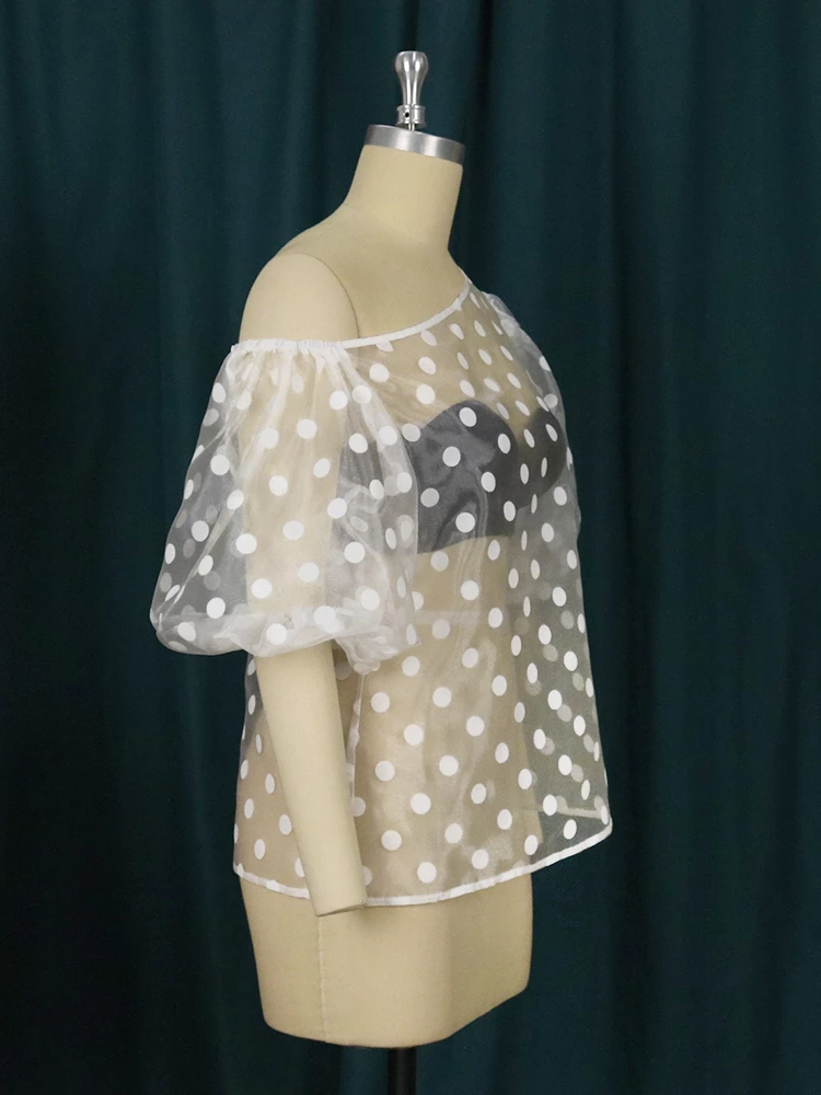AOMEI Women Black Transparent Shirt Polka Dot Tops Blouse Lantern Sleeves  See Through Sexy Button up Fashion Ladies Work Classy - AliExpress