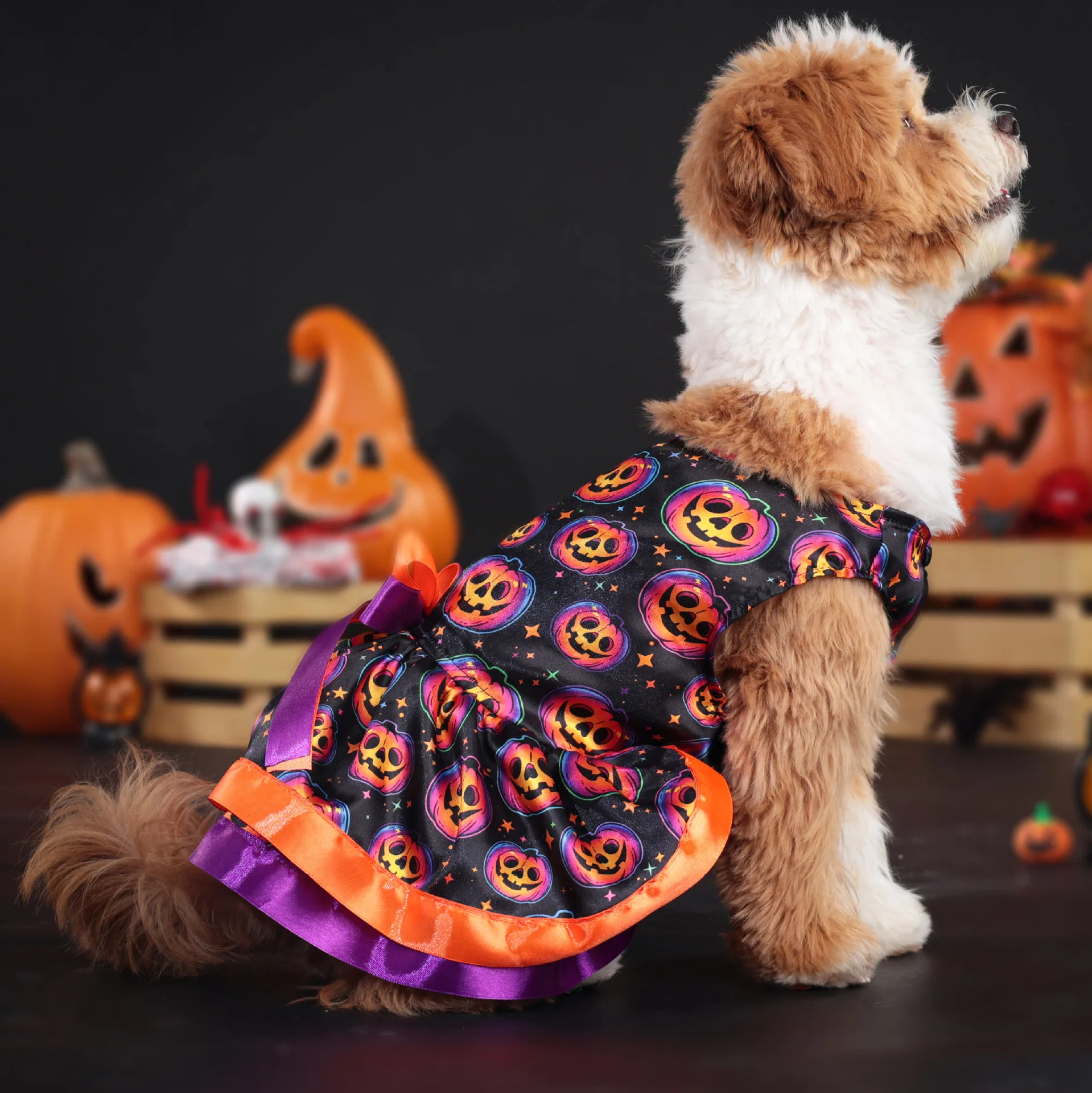 Robe Colorée Citrouille pour Chiens - 2025 - Doglovedesign : Vêtement et accessoires pour chiens