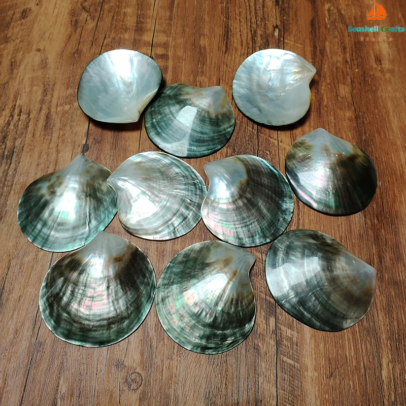 2 PC Black Mother of Pearl Shells Polished Pinctada Margarilifera Sea Shell Handmade Creative DIY Jewelry Beads Caviar Container natural shell ornaments