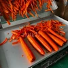 Multi Functional Vegetable Processing Machine, Carrot Peeler, Commercial White Radish Peeler 3