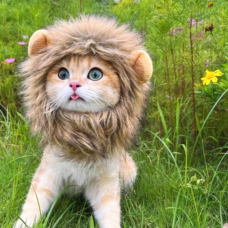 CAT LION CLOTHES HAIR FUNNY Pet MANE WIG Headgear Hat DRESS UP COSTUME G2X8  new.