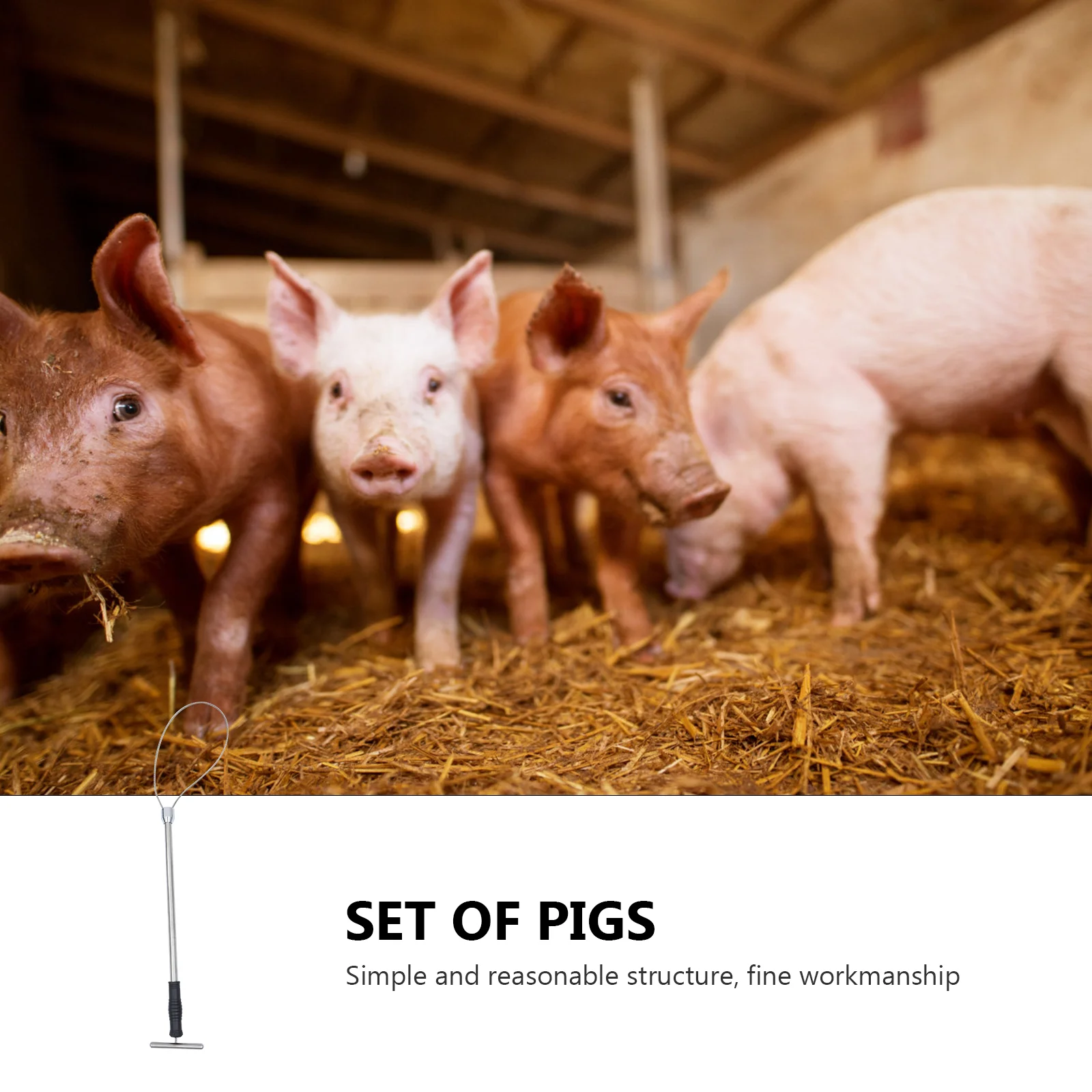 Coyote Eliminator Snare Traps, 12 Pack, Snares For Trapping