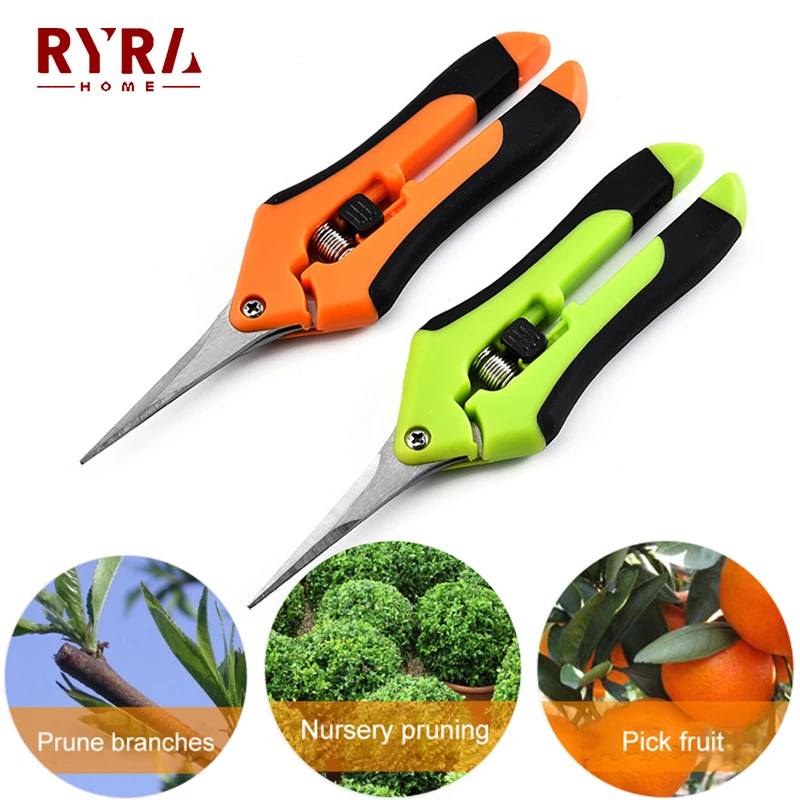 

Garden Pruning Shears Stainless Steel Plants Fruit Grape Picking Scissors Horticulture Leaf Trimmer Straight Elbow Pruning Tools