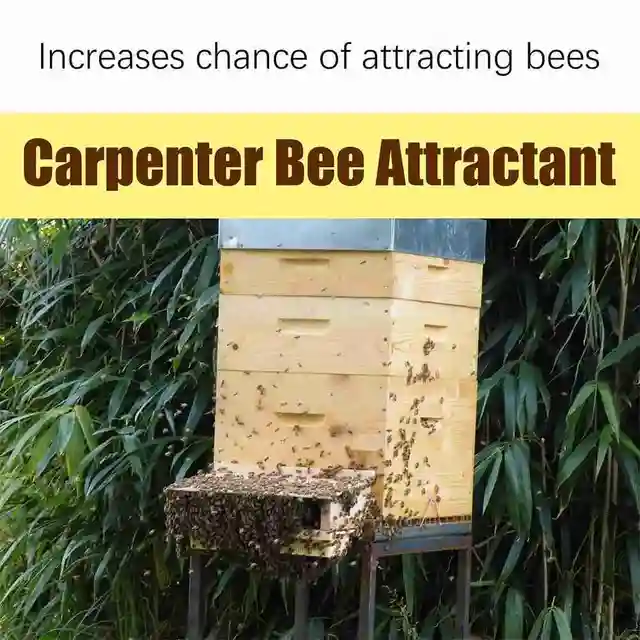 Bienenlockstoff Gel 60ml - Imkerei Werkzeug Zum Fangen Von Wildbienen