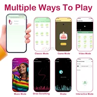 APP-Steuerung Tragbarer Höschenvibrator Frauen Vibrierendes Liebesei Vagina G-Punkt-Stimulator Interaktion Erwachsenes Sexspielzeug für Paare 3