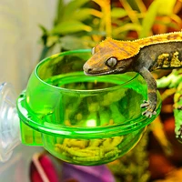 Arboreal Reptile Live Anti-escape Sucker Feeder Chameleon Food Basin Wall Double Layer Plastic Bowls for Small Animals D9210 4