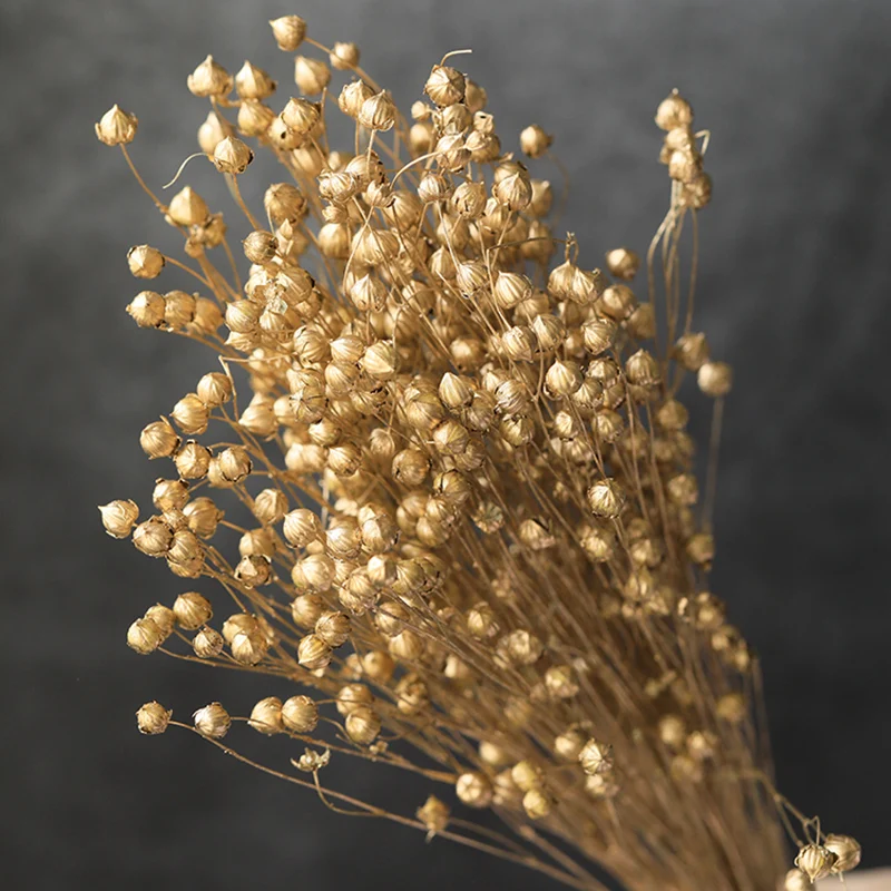 ロクシタン ピオニーノエルキット ロクシタン ピオニーノエルキット