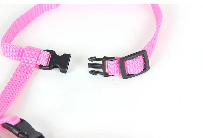 Affordable Sphynx Cat Harness & Leash Set – Lightweight Outdoor Walking Accessories for Cats