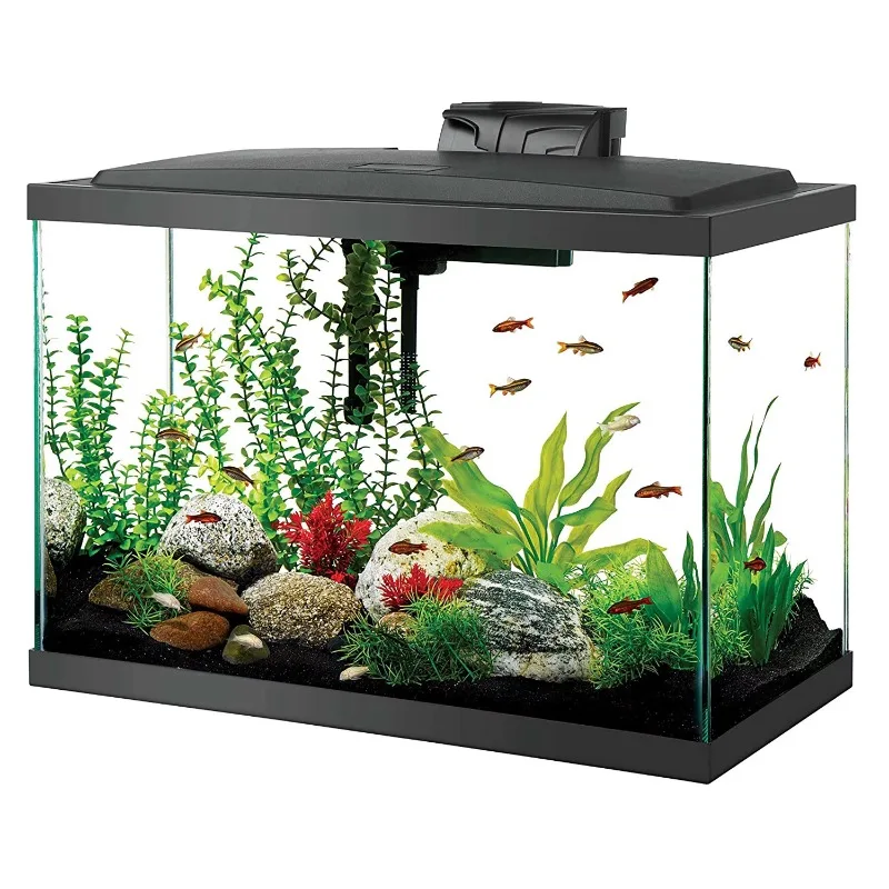 

Aqueon Aquarium Starter Kit, 20 Gallon High Glass Fish Tank, LED Lighting, and Heater Included