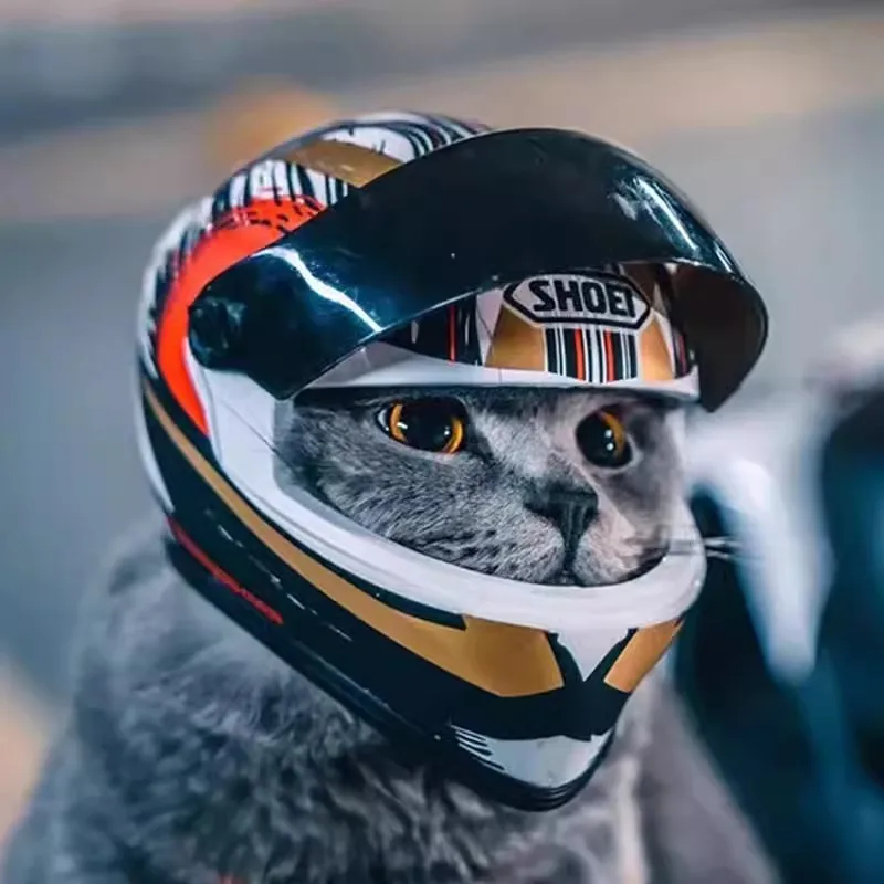 

Мотоциклетный шлем Super Cool Pet, мини-шляпа для кошек и собак, шлем