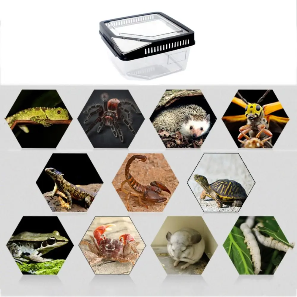 Title 13, Transparent Anti-escape Reptile Terrarium Tank ...
