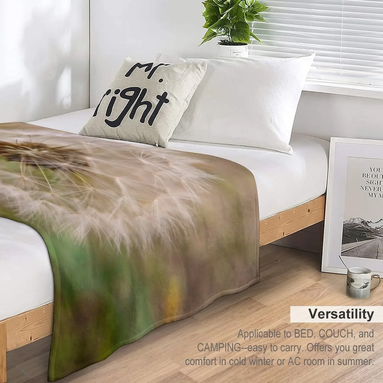 �ε鷹 ������ ������ ���, ���Ÿ� �����̳�, �ε巯�� ���� ����, ���Ÿ� St ���� ���