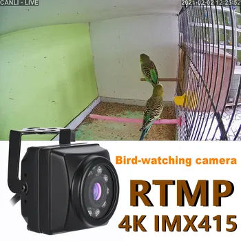 4K RTMP Bird Box Camera Kit Birdcage 8MP Night Vision Rtmp Stream Camera POE Mini IP Audio Pet Nest Watching Webcam for YouTube 1