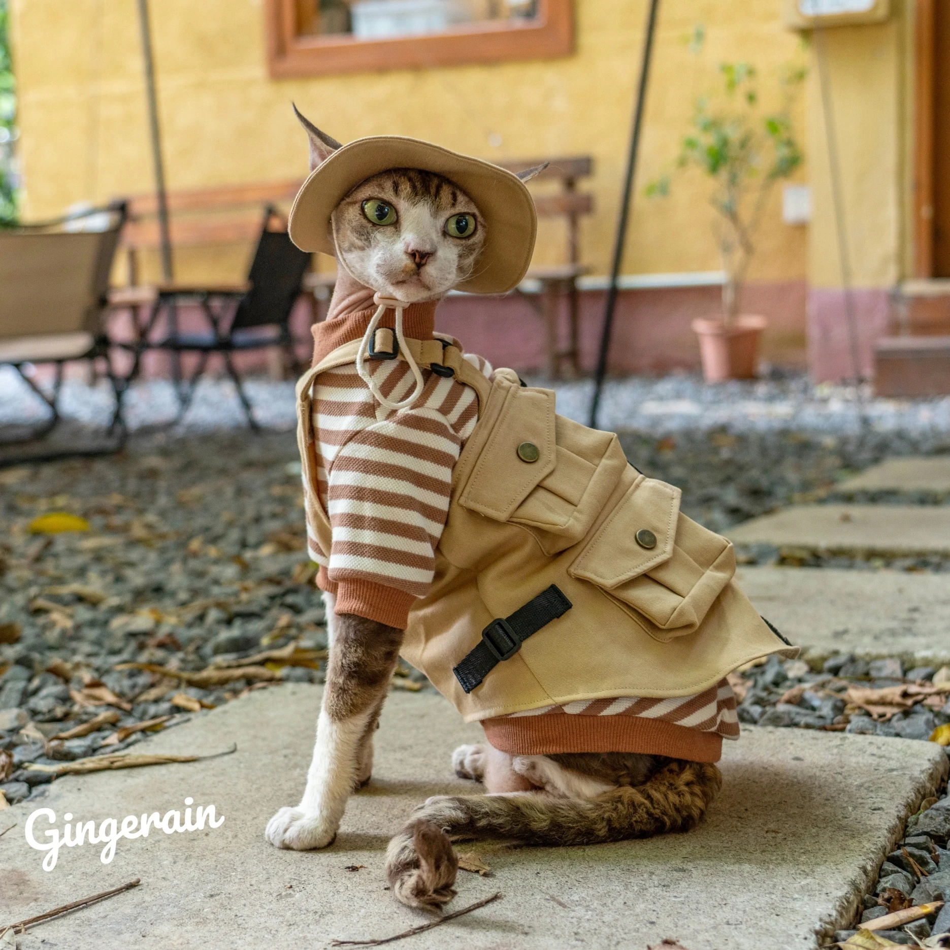 

Шляпы хаки Devon Rex Cat Kitten Sphynx поставщик домашних животных хлопковая шляпа без рукавов для кошек Солнцезащитная дорожная походная Регулируемая шляпа с краской