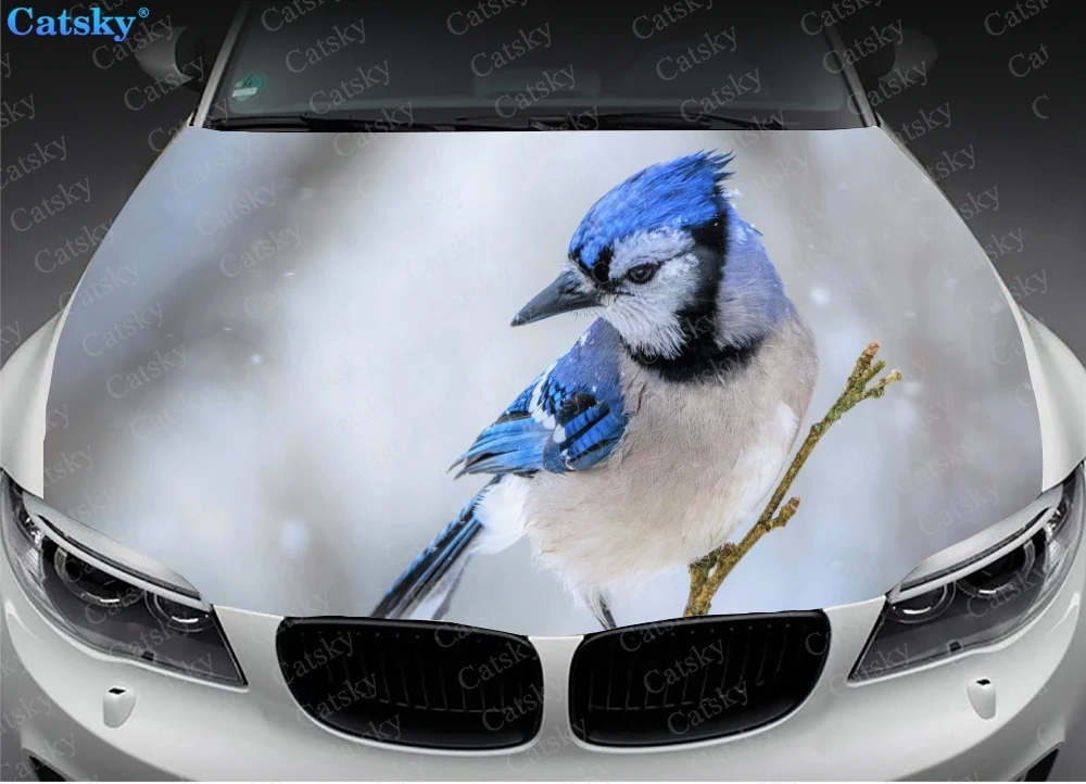 Blue Jay Bird Vinyl Sticker