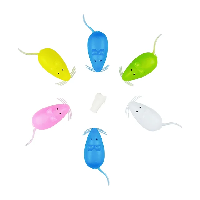 소중한 첫 번째 치아의 특별한 보관소