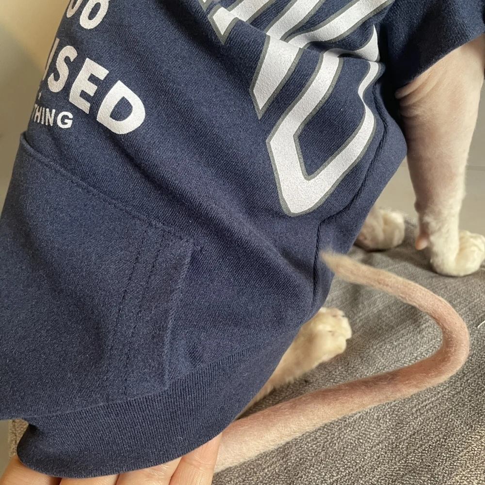 Dark Blue Coat for Sphynx Cat Fashion Hooded Sweatshirt Long Sleeves for Male Cat Elestic Cotton Coat for Kittens in Spring