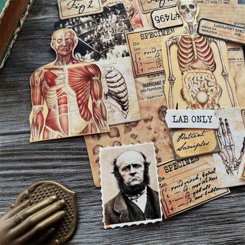 43Pcs Tim Holtz Style Medical Craft Paper Junk Journal Ephemera Human  Anatomy Cardstock Collage Scrapbooking Material Paper Pack - AliExpress