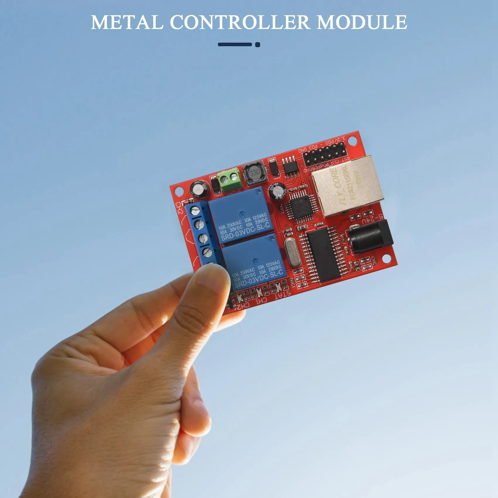 LAN Ethernet 2-way Relay Board Delay Switch TCP/UDP Controller Module WEB server 6