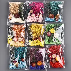 1Bag Dried Flowers Dry Plants For Epoxy Resin Casting Mold DIY Aromatherapy Candle Molds Crafts Tools Jewelry Making Accessories