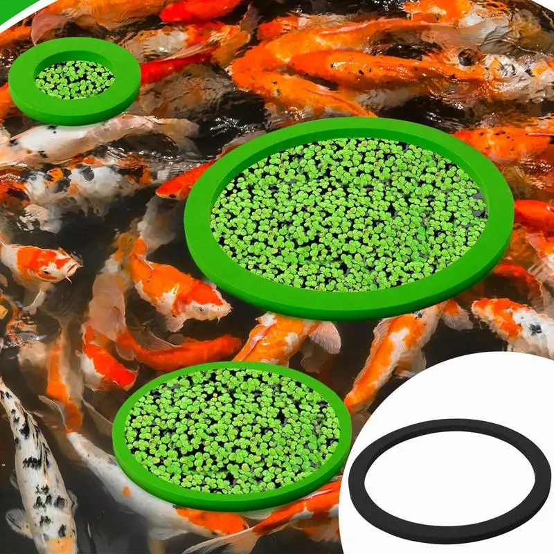 Anelli Per Piante Galleggianti Per Acquari 10 Pezzi Per Piante Galleggianti Per Acquari Recinto Per Piante Da Recinto Mangiatoia Per Pesci Mantieni Le