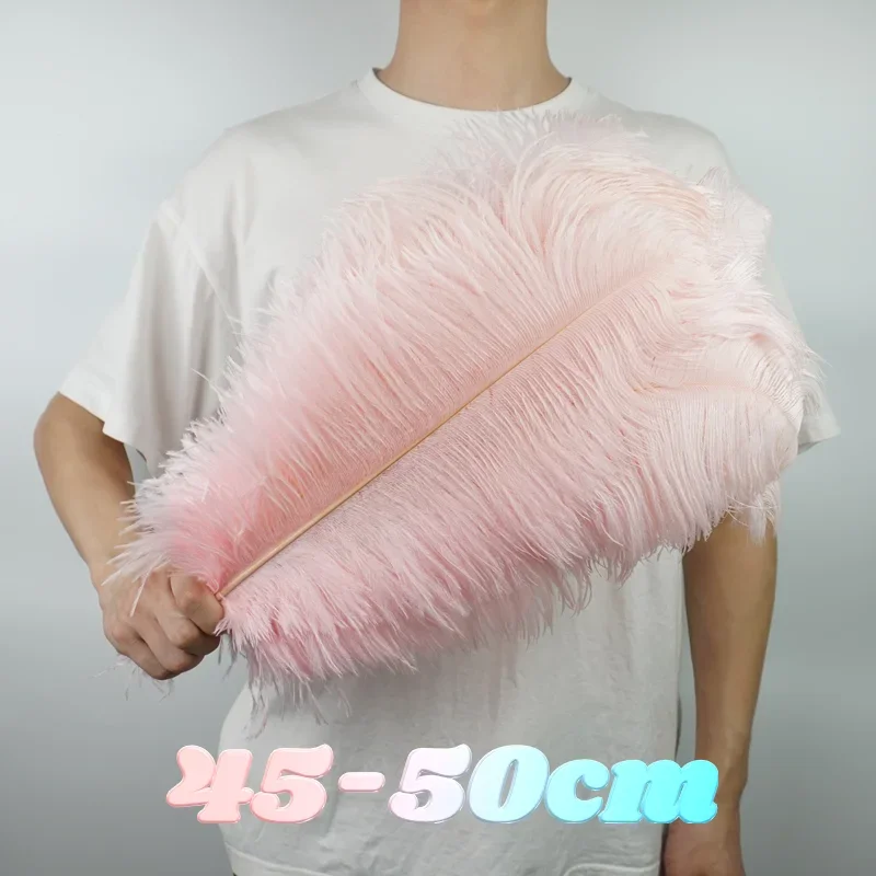 Ostrich Feathers 10Pcs/Lot Colored for Crafts Wedding Decoration Handicraft Accessories
