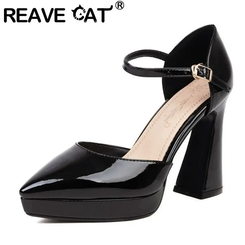 

REAVE CAT Women Pumps Pointed Toe Block Heels Ankle Buckle Strap Shallow Party Big Size 33-46 Solid Red Black Sexy Spring S3650