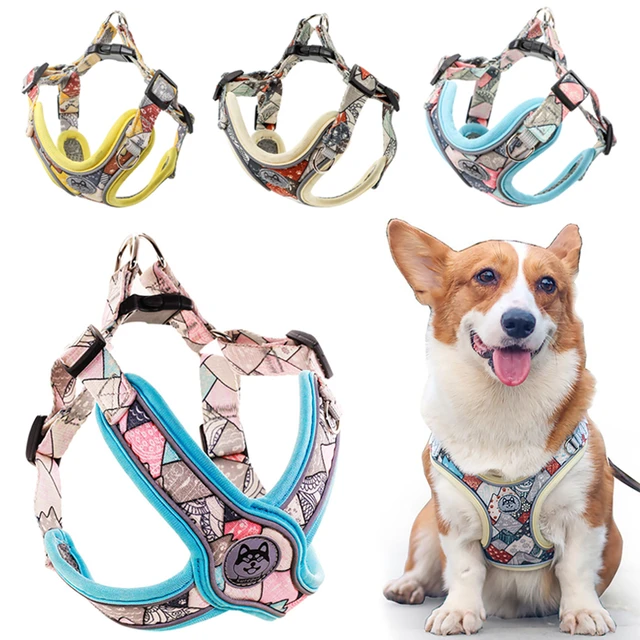 Puppy Cat Collar Leash Lead Set Pet Vest Belt for Dog Leash Kitten Dog  Adjustable Dog Collar Pet Accessory - AliExpress