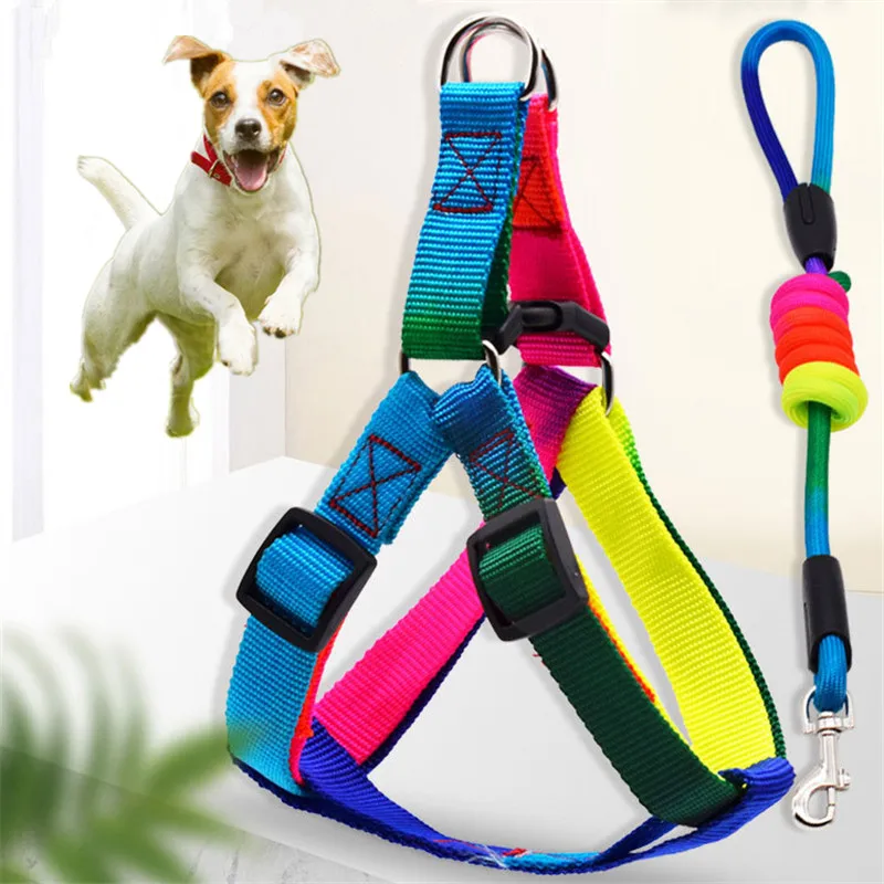 Colorful Dog Leash Rope For Small Large Dogs Pet Puppy Leash Pitbull