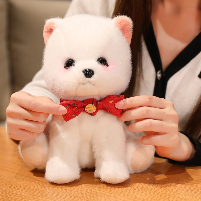 ǹ    峭, Ϳ ùķ̼ ֿ    ,  ҳ ޶Ͼ   , 22cm