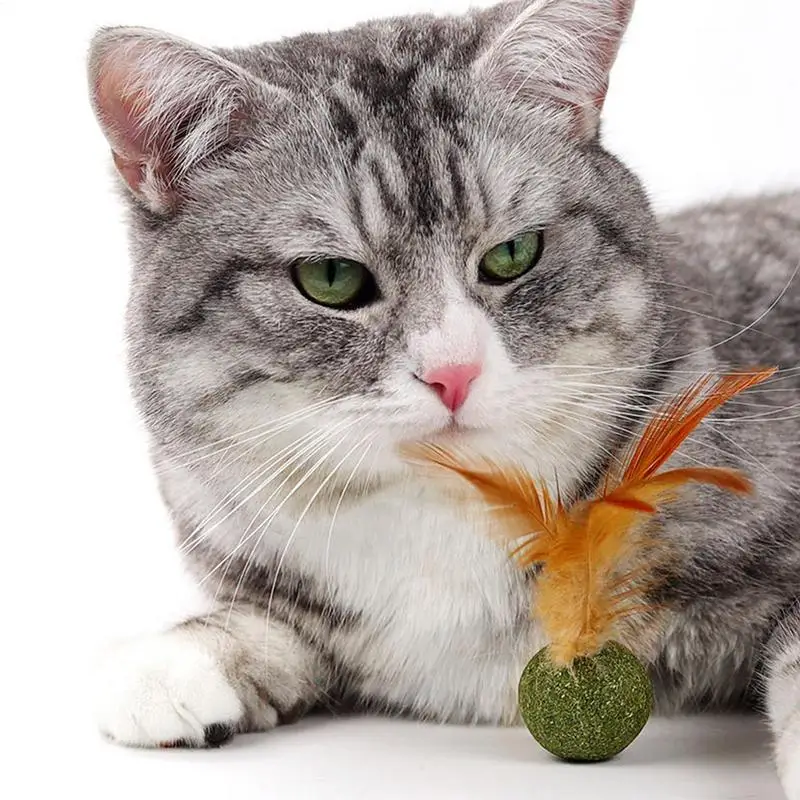 1pc Cat Toys Catnip Kitten Catnip Feather Ball Interactive Lollipop Natural Cat Kicker Feathers Design Cat Teeth Cleaning