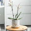 11/14/17cm Nordic Ceramic Flower Pots Small Succulent Green Plants Flowerpot with Tray Home Desktop Decoration Garden Supplies 3
