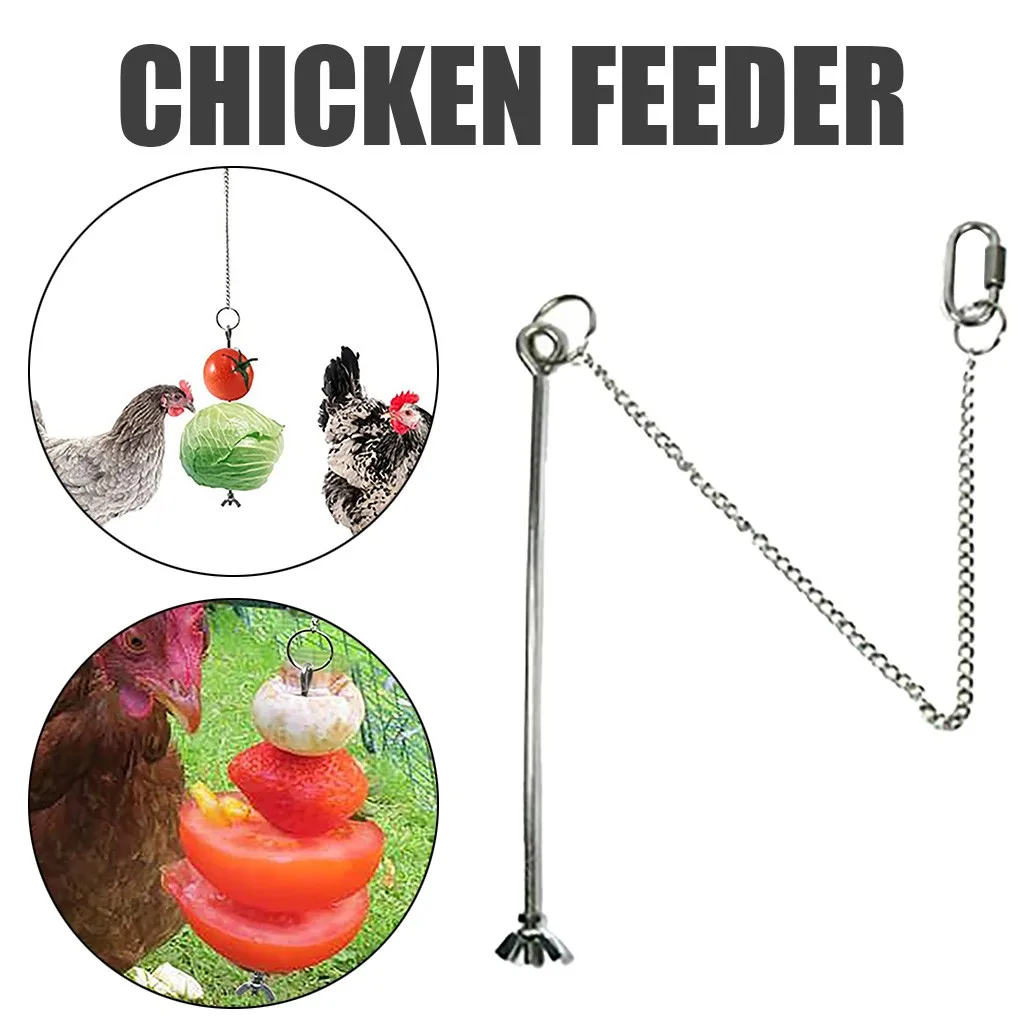 Stainless Steel Bird Food Holder 4