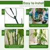 3/24PCS Twig Plant Support Brackets Stackable Green Plants Growth Stakes Detachable Monstera Climbing Stakes for Indoor Outdoor 5