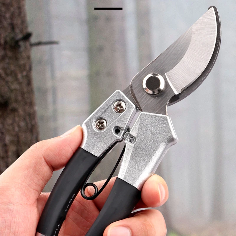 https://ae01.alicdn.com/kf/S0859a394449847bea795dfe8aee29f53G/Pruner-Orchard-and-The-Garden-Hand-Tools-Bonsai-For-Scissors-Gardening-Machine-Chopper-Pruning-Shears-Brush.jpg