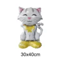 Cat balloon