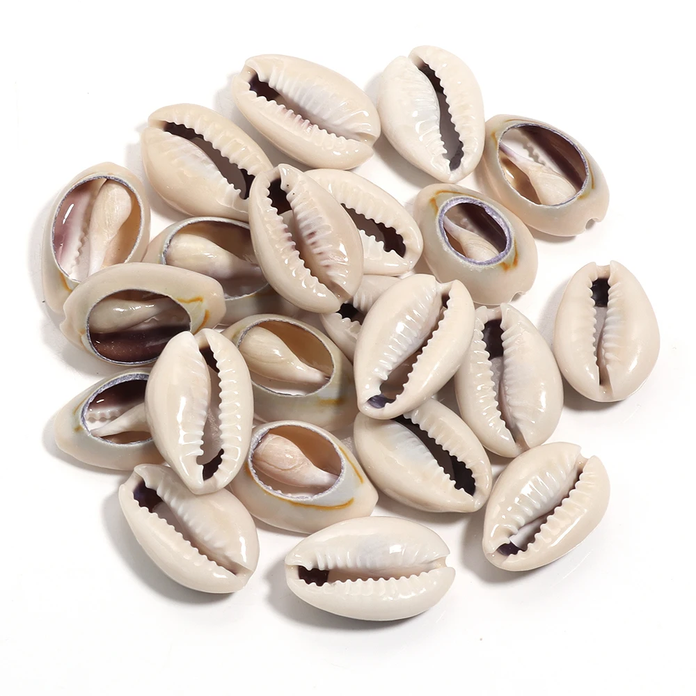 40g Natürliche Muschel Perlen Oval Spirale Conch Lose Spacer Perlen Für DIY Schmuck Machen Halskette Armbänder Telefon Kette liefert – Detail 14